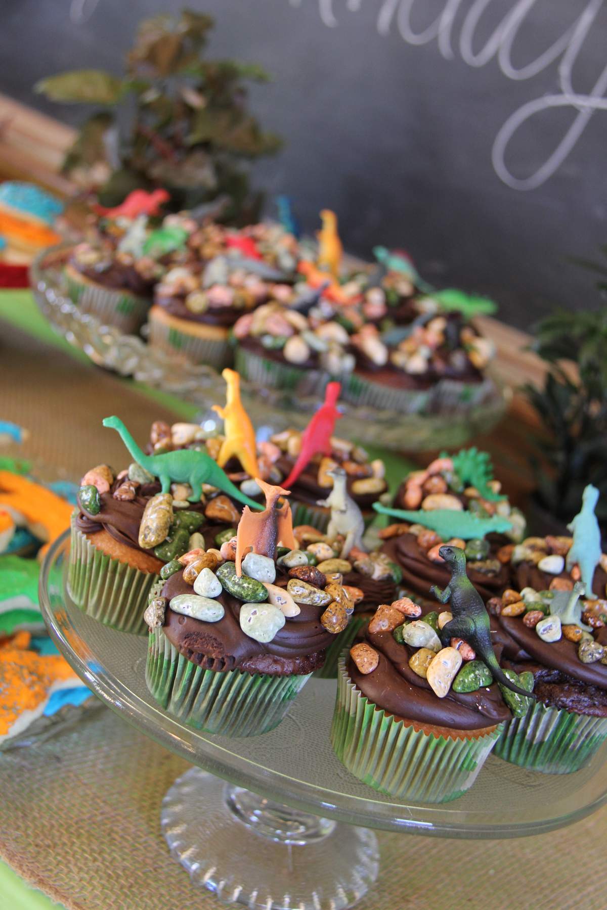 Rex's 2nd Birthday Dino Party - Dinosaurs