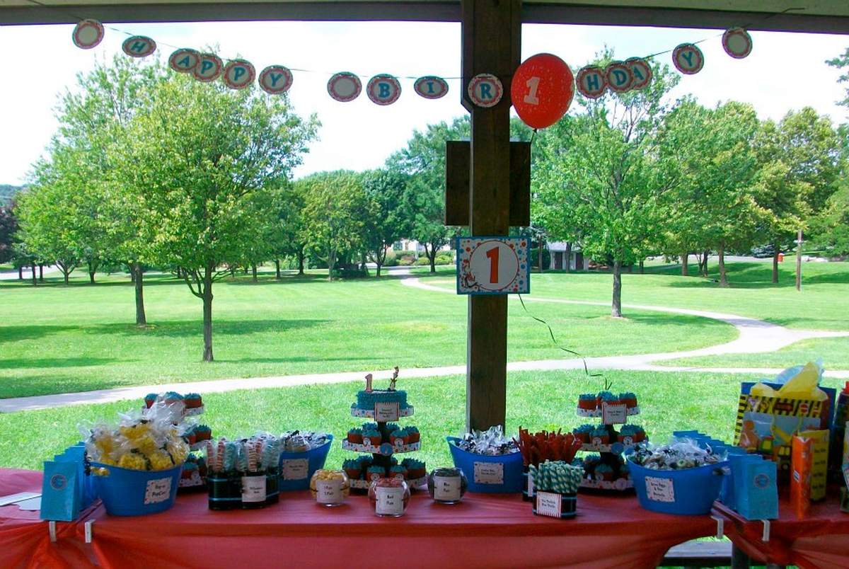 Eli's Seussical 1st Birthday  - Dr. Seuss 