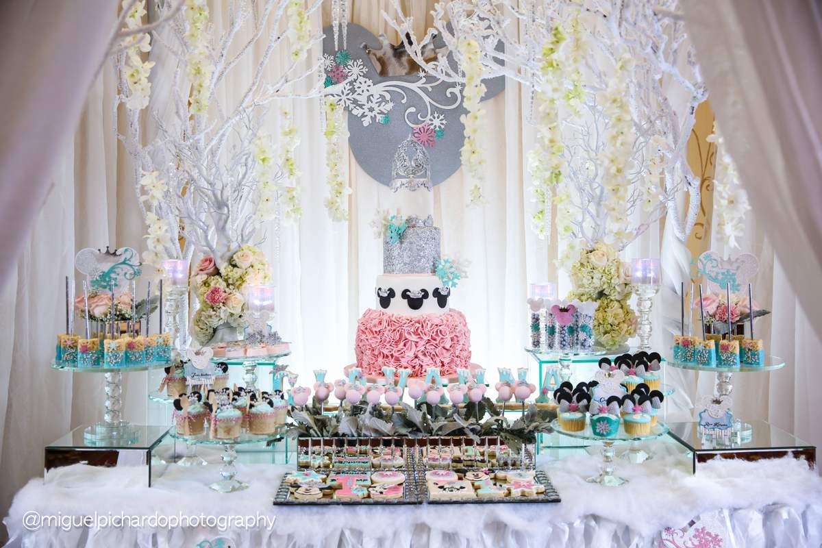 Winter Birthday Party Ideas Photo 1 Of 77 Catch My Party