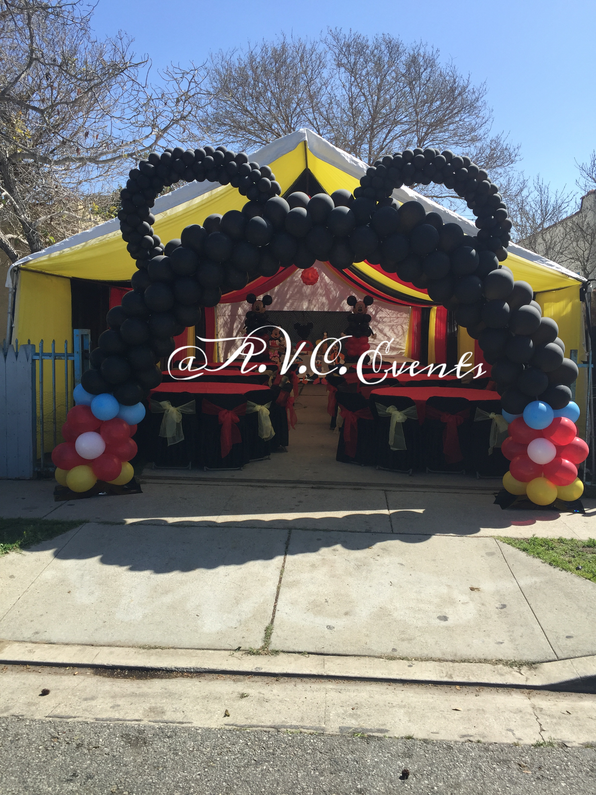 Irais Mickey Mouse Birthday Spectacular - Mickey Mouse