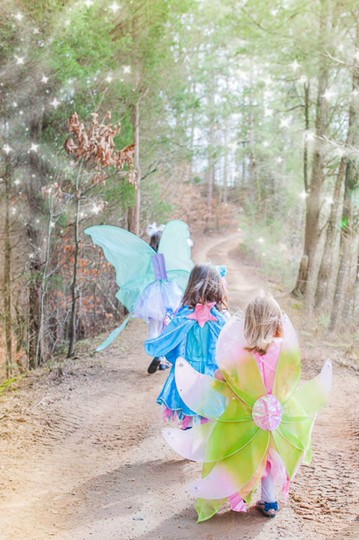 Fairies, Unicorns & Rainbows Party - Fairies, Unicorns & Rainbows Party