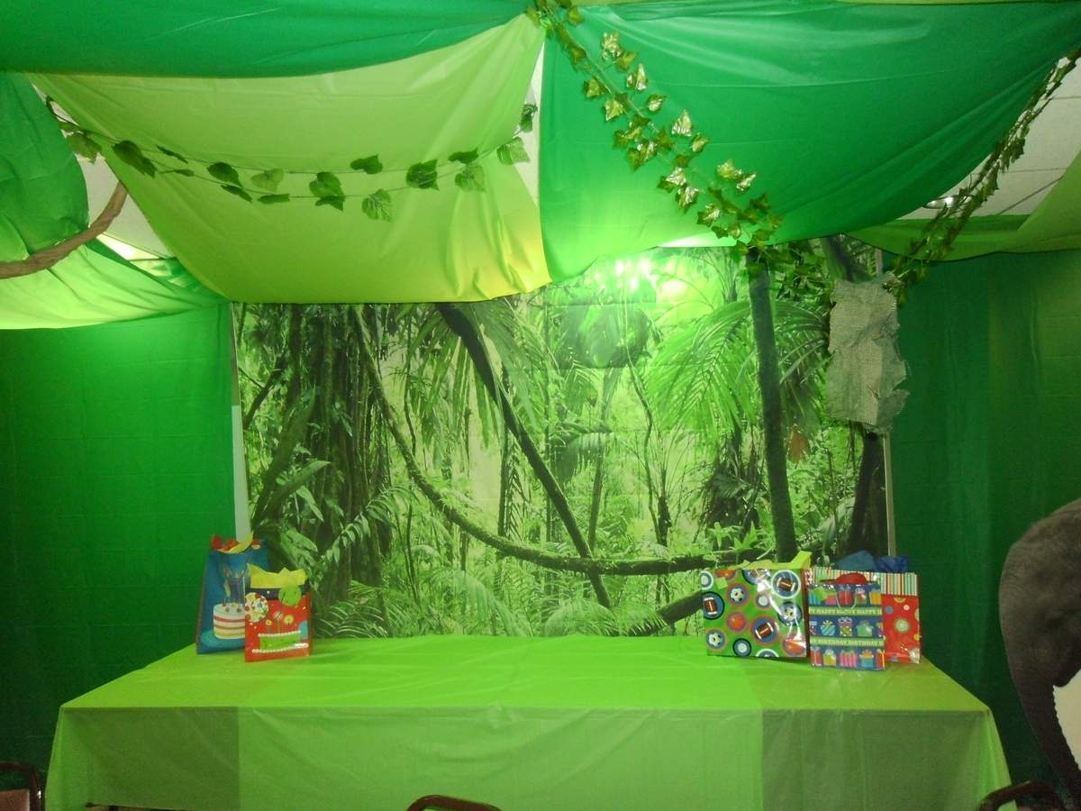 Rainforest / Jungle Birthday Party Ideas Photo 1 of 40 Catch My Party