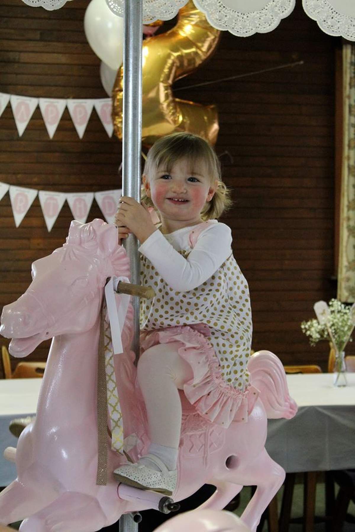 Lauren's Handcrafted Carousel: A 2nd Birthday to Remember - Carousel