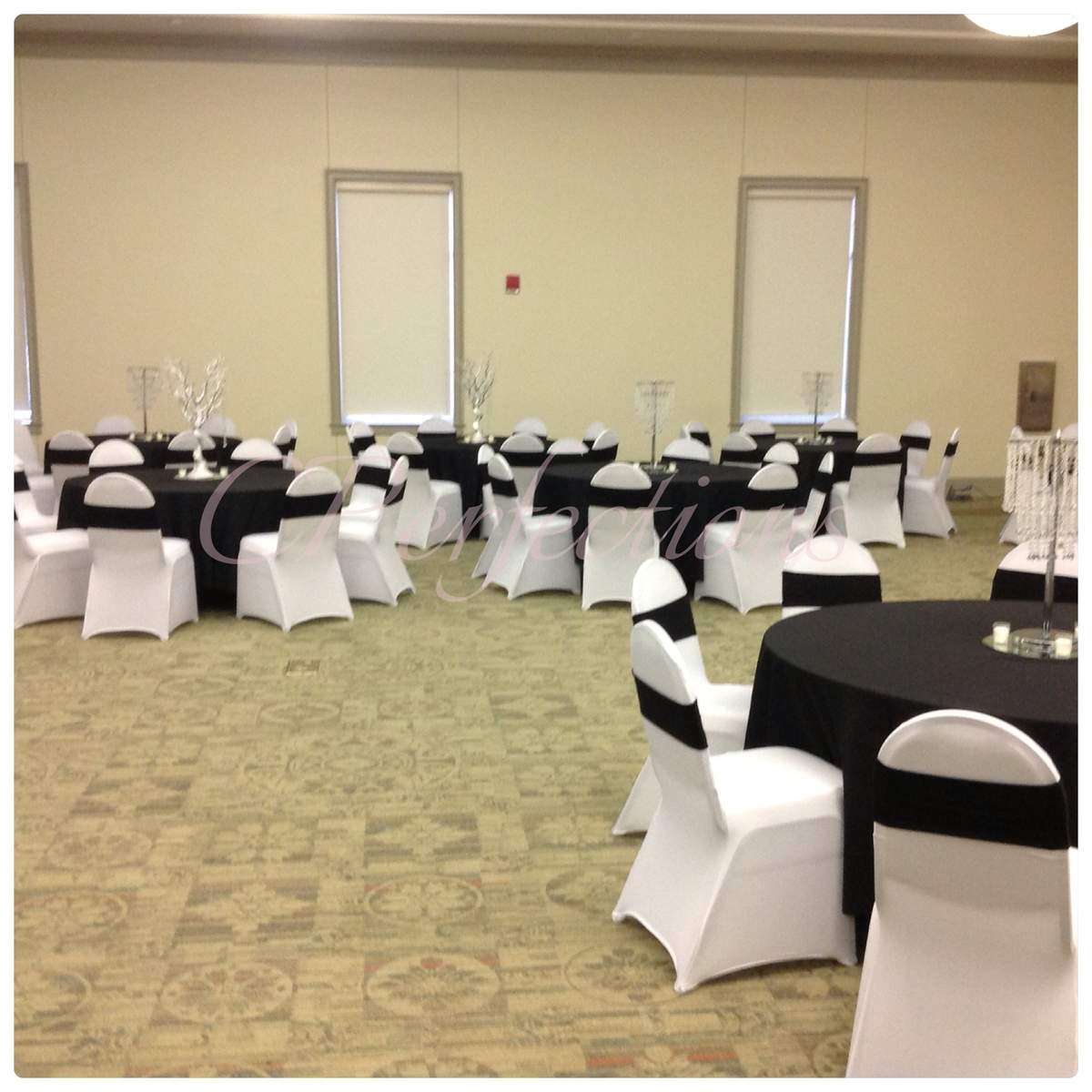 Black & White Tie - None