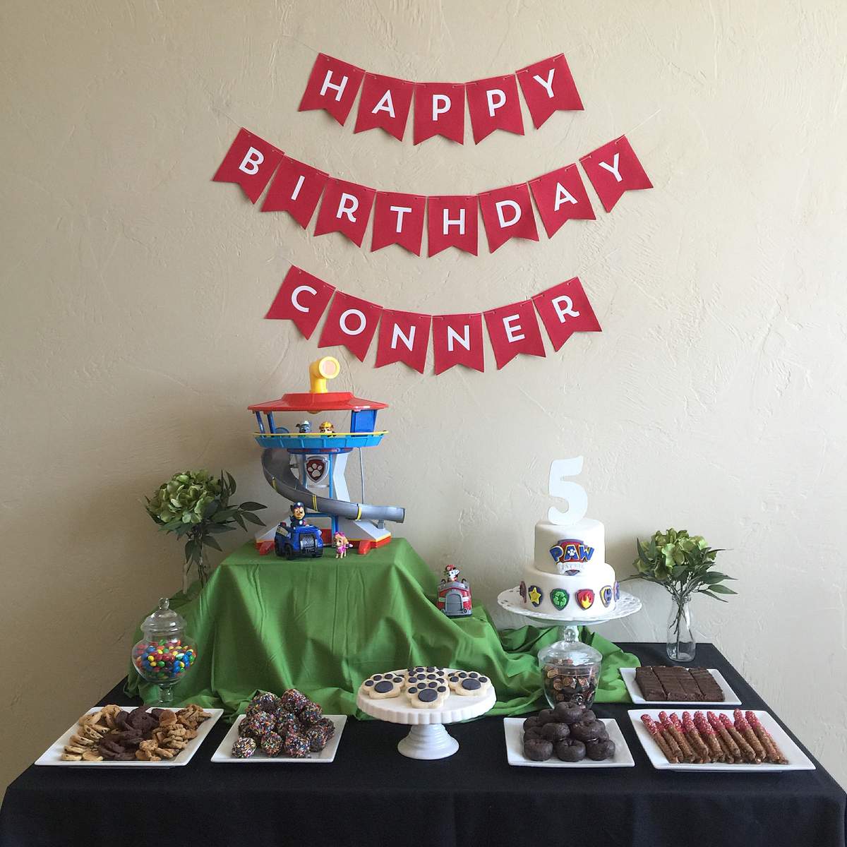 The Pups are on Patrol for Conner's Fifth!  - Paw Patrol