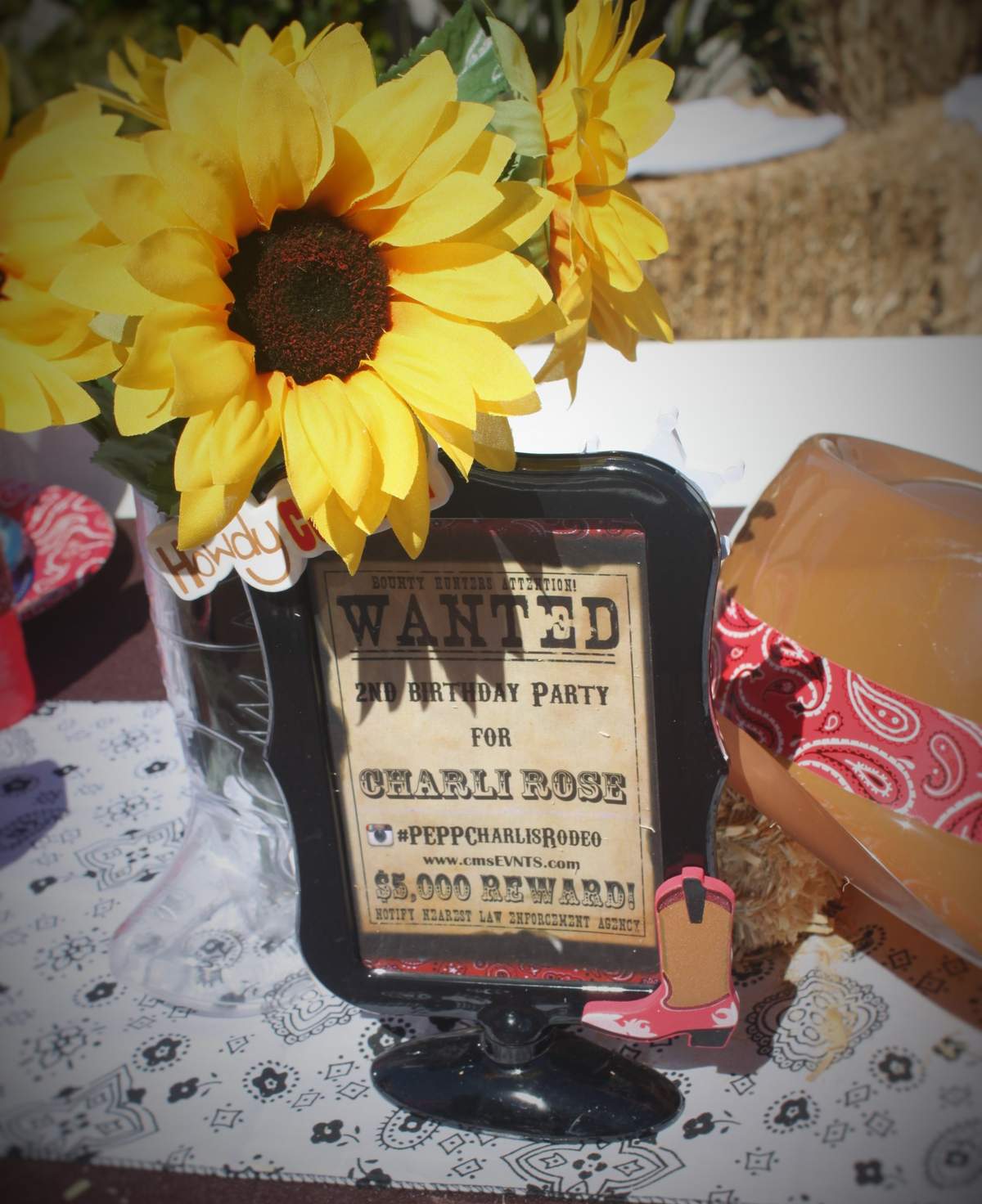 Western Theme / Birthday 