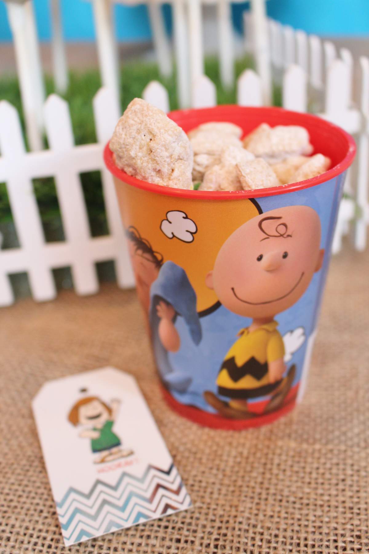 Peanuts/Charlie Brown Birthday Party Ideas Photo 8 of 37 Catch My Party