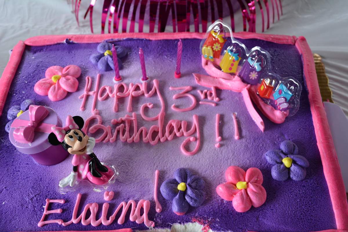 Elaina's 3rd Birthday Party - Minnie Mouse Picnic