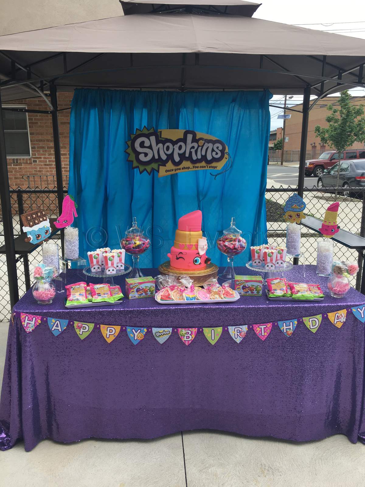 Leilani's Birthday Bash  - Shopkins 