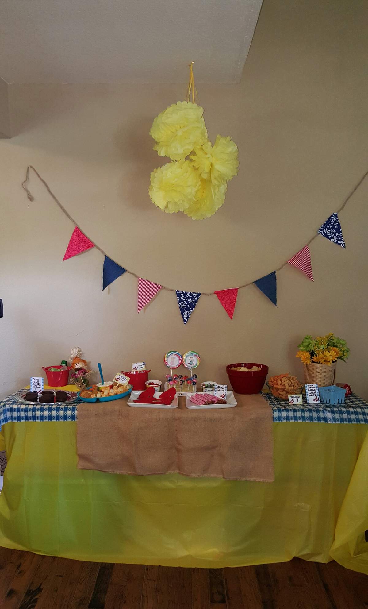 Carly's Wizard of Oz Birthday Party  - Wizard of Oz