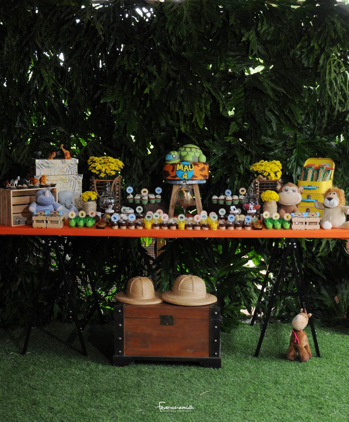 Wild Kratts Safari Birthday Party  - Safari
