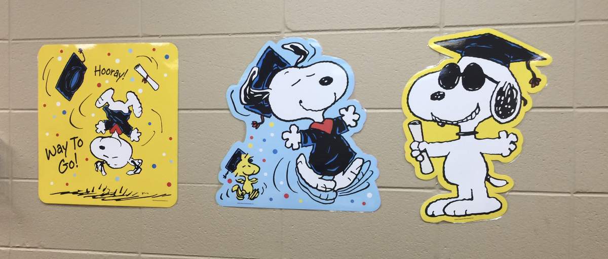 Peanuts/Charlie Brown/Snoopy Graduation/End of School Party Ideas