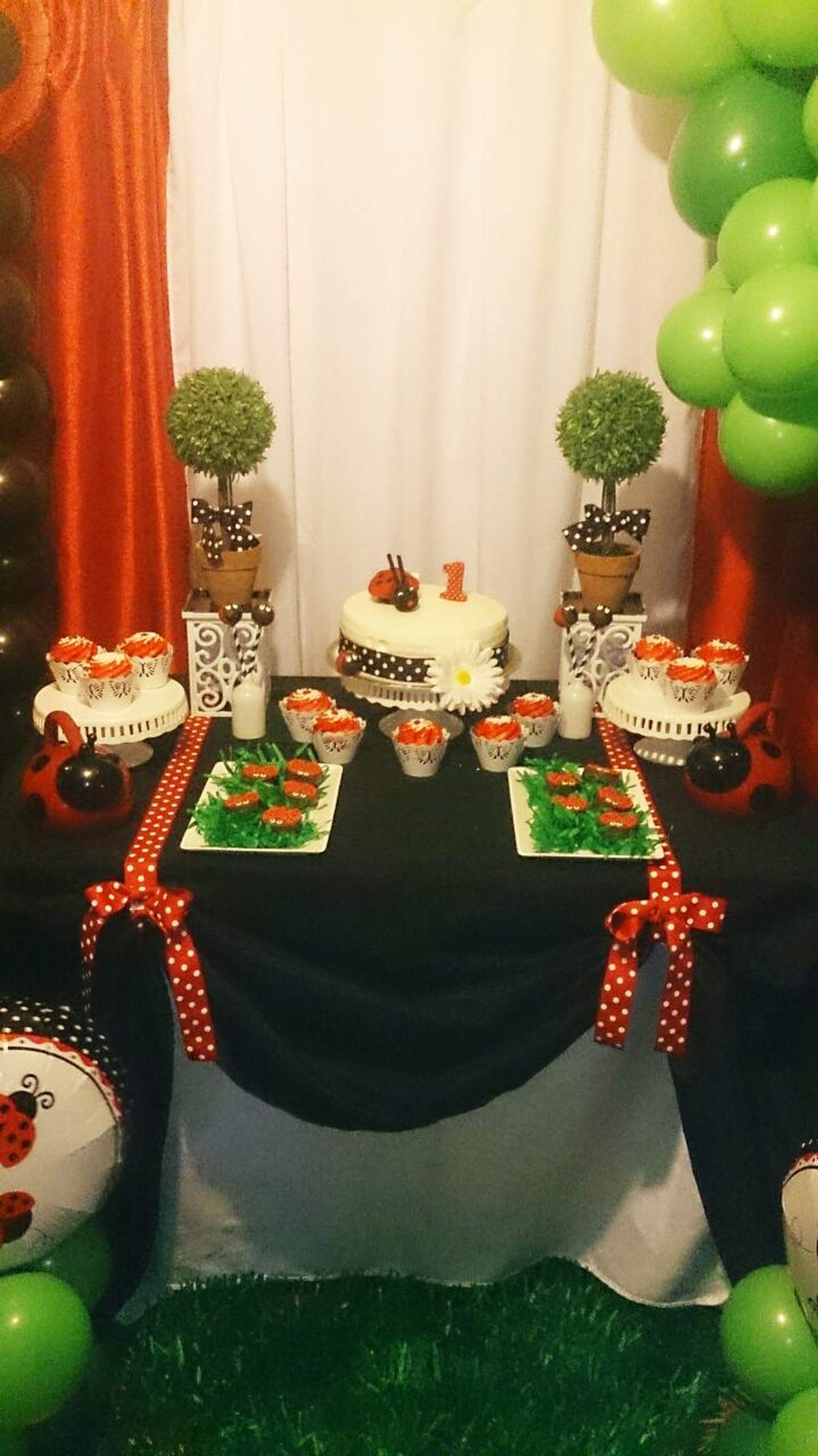 Lady Bug First Birthday - Lady Bug