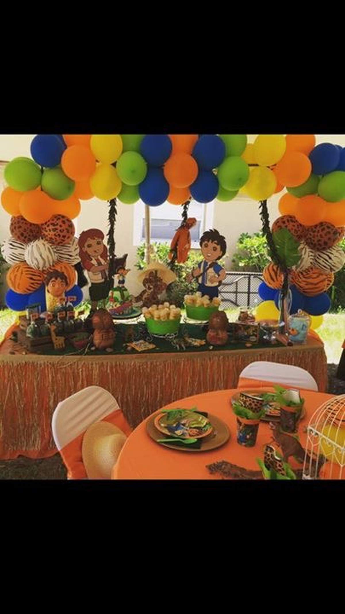 Diego  - Dora / Diego