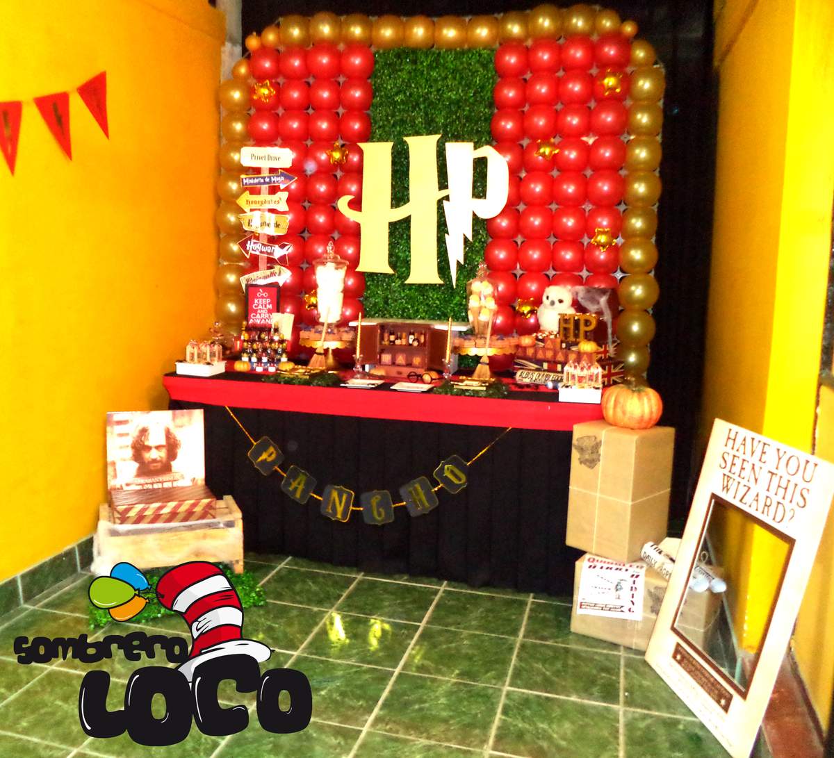 Wizarding world of Harry Potter Party - Harry Potter