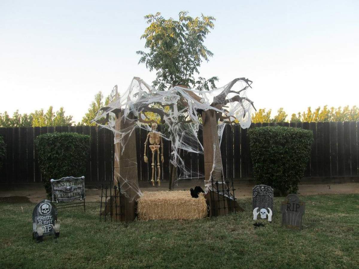 Lilly's Halloween Bash - None