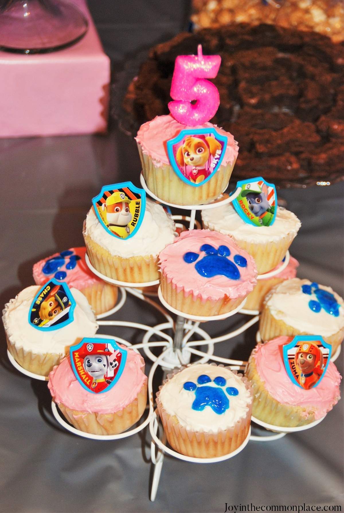 Paw Patrol Skye Birthday Party - Paw Patrol Skye
