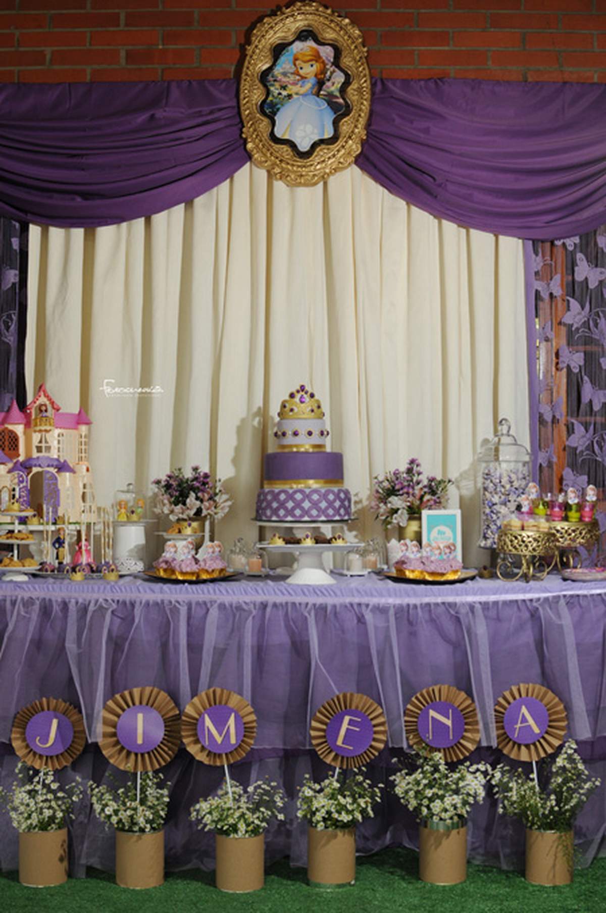 Sofia the First Rustic Chic - Sofia the First 