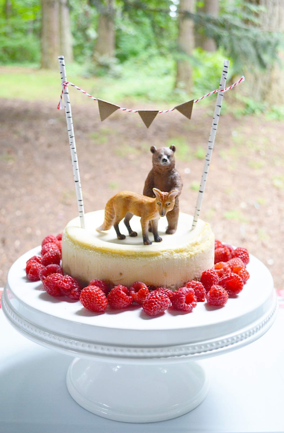 Camping/Outdoor Baby Shower Party Ideas Photo 3 of 7 Catch My Party