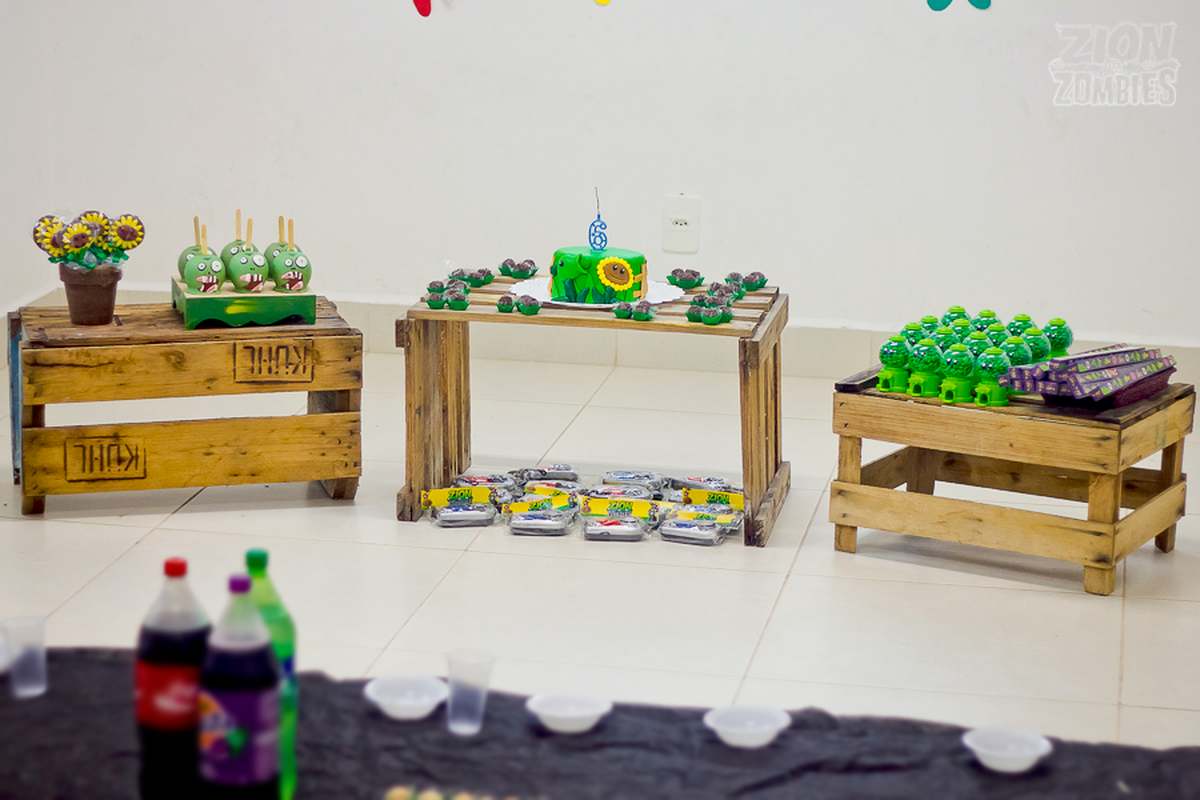 Zion's 6th Birthday - Plants Vs Zombies