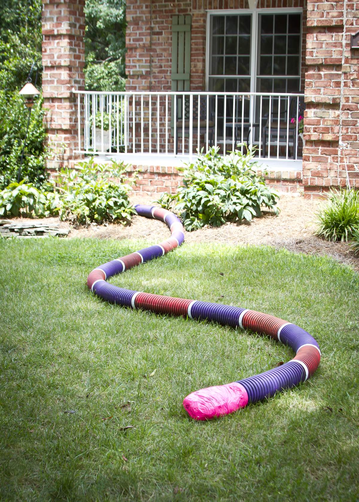 Pink Snake Birthday Party Ideas Photo 31 of 37 Catch My Party