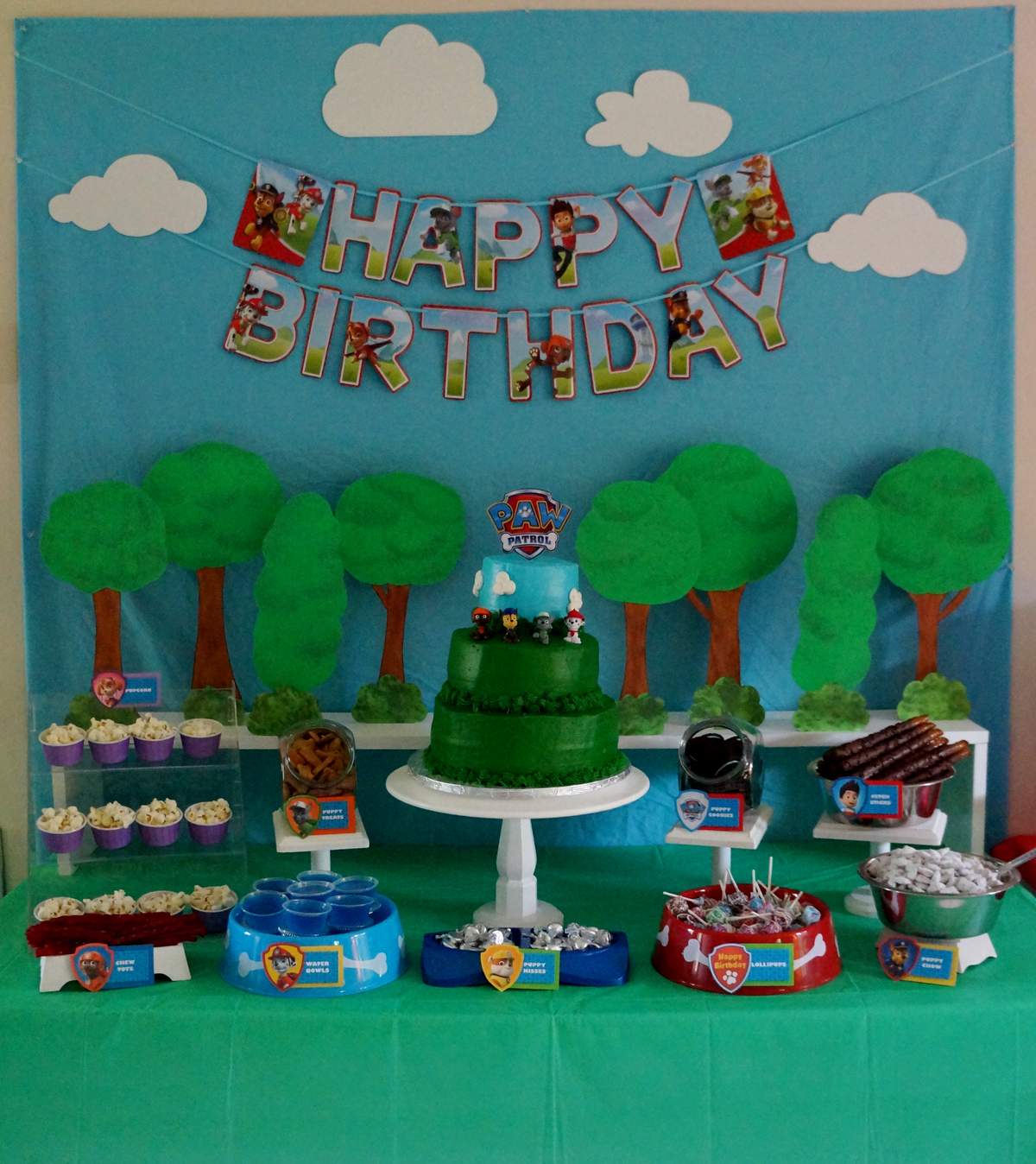 Zacks Paw Patrol Birthday Party - Paw Patrol