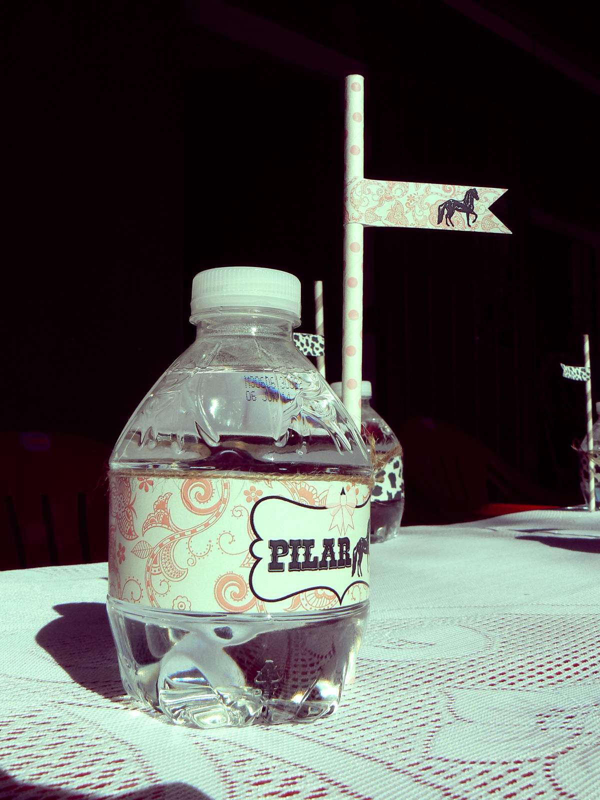 Pilar Cowgirl Party - Cowboy / Cowgirl