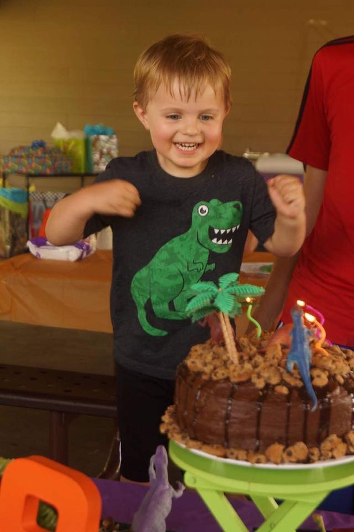 Aiden's 3rd Birthday - Dinosaur Party