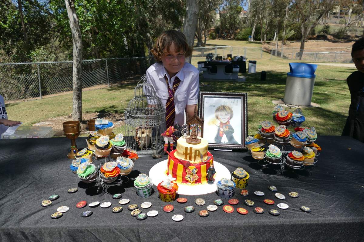 The Sorcerer’s Stone / Birthday “Harry Potter” | Catch My Party