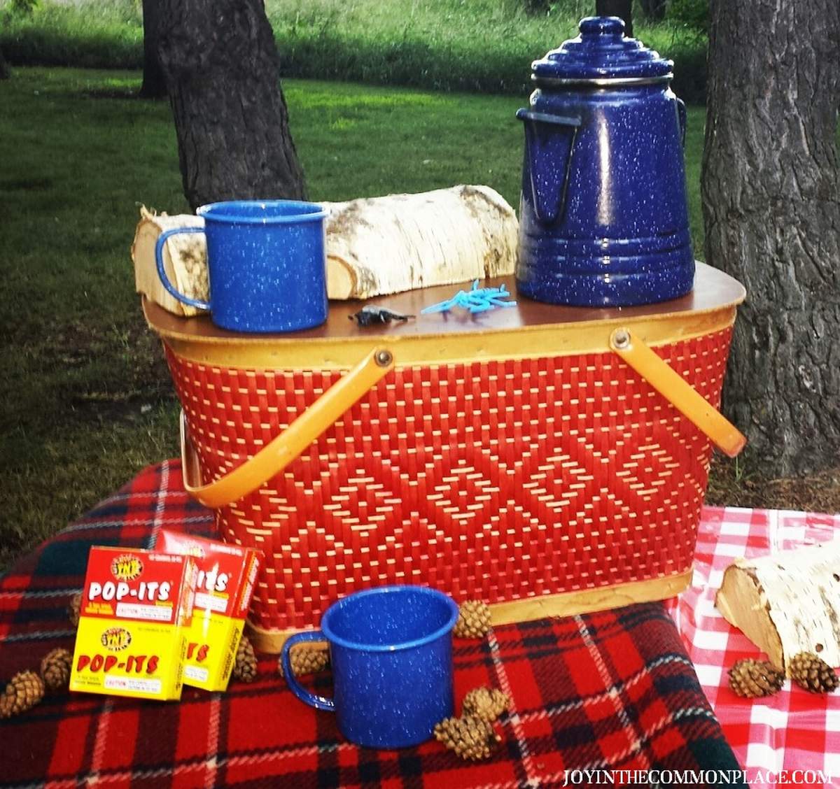 Rustic Outdoors Camping Birthday Party - Camping / Summer Camp