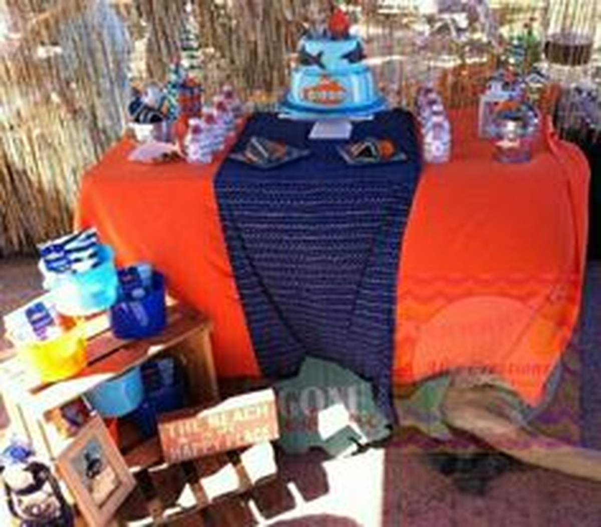 Diego's Shark Birthday Party  - Shark and Surf 