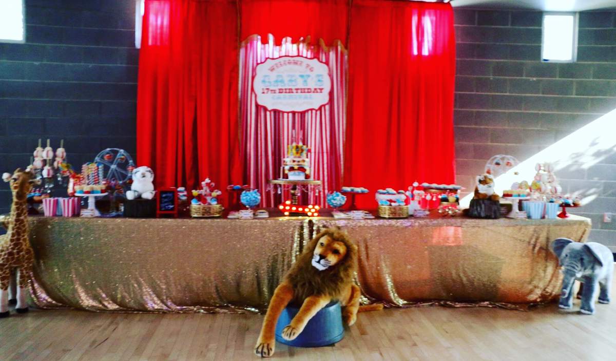 Gaby's 17th Circus Birthday - None