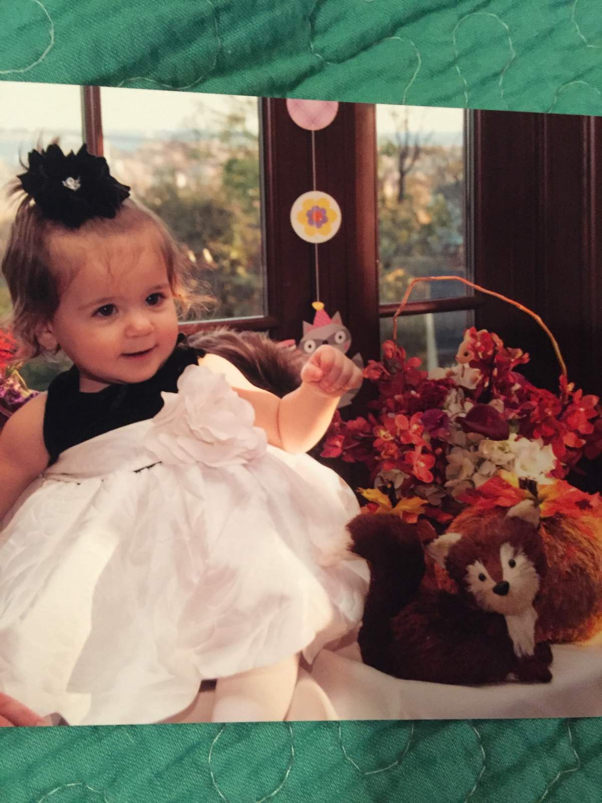 Francesca's Woodland Creatures Party!!  - Woodland Creatures 