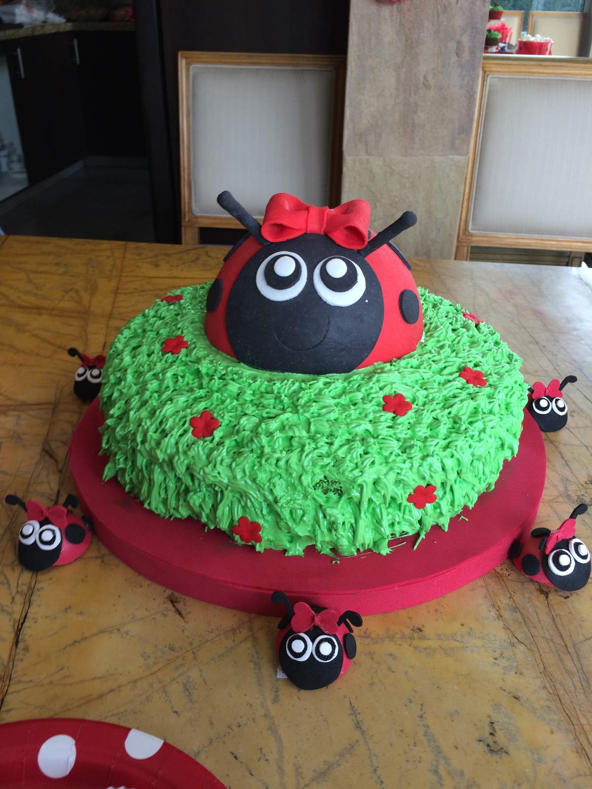 Ladybug miraculous party for Luciana  - Ladybug