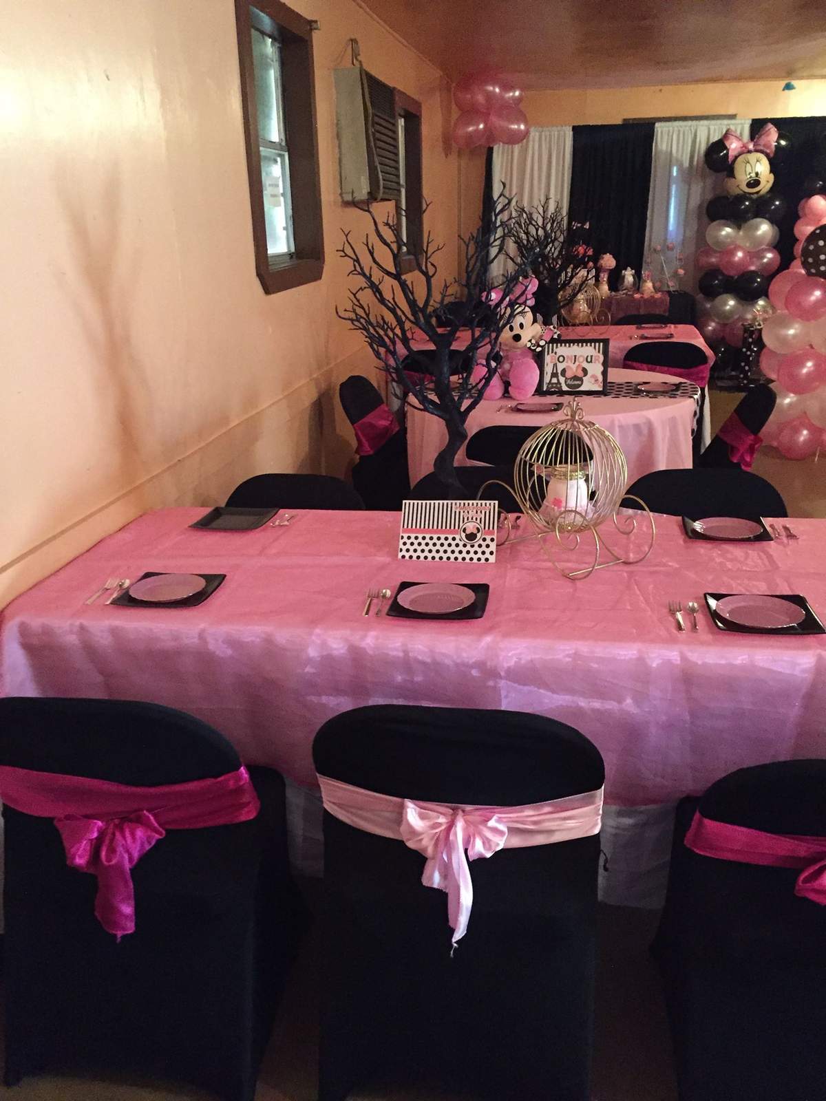 Jailey's 1st Birthday Party - Minnie Mouse in Paris