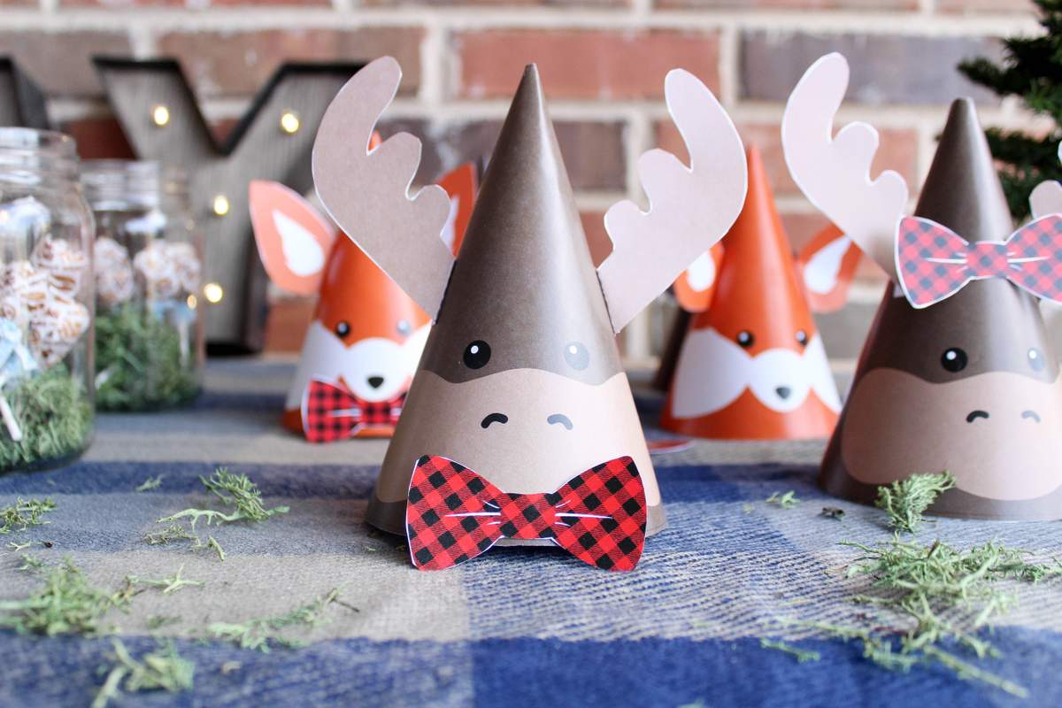 Madden's 3rd Birthday Bash - Camping/ Rustic Woodland