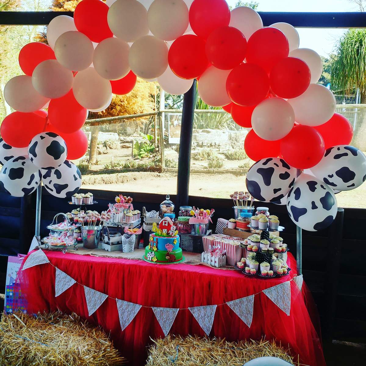 Sarina's Farmyard Themed Party - Farmyard 