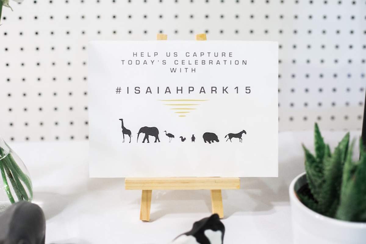 Isaiah Park's Modern Safari - Animals
