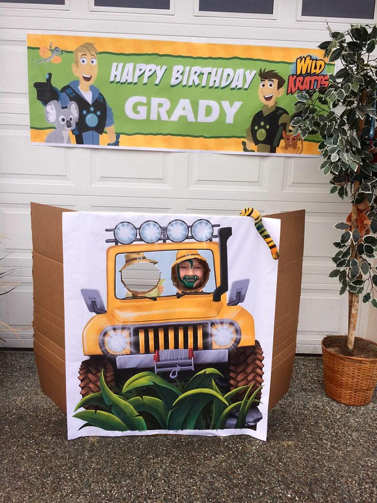 WILD KRATTS 7th Birthday Party - Wil Kratts / Wild Animals
