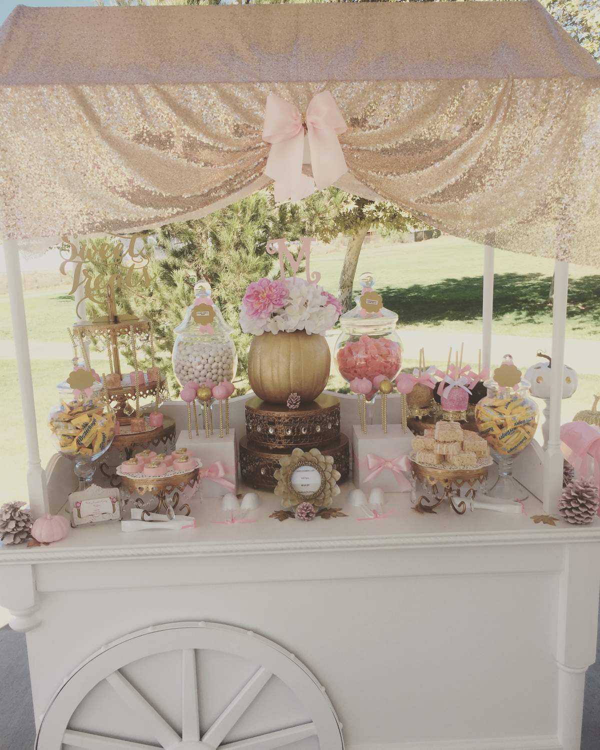 Marilyn"s 1st Birthday   Candy/Dessert Cart  - Fall pumpkin Candy/Dessert Cart