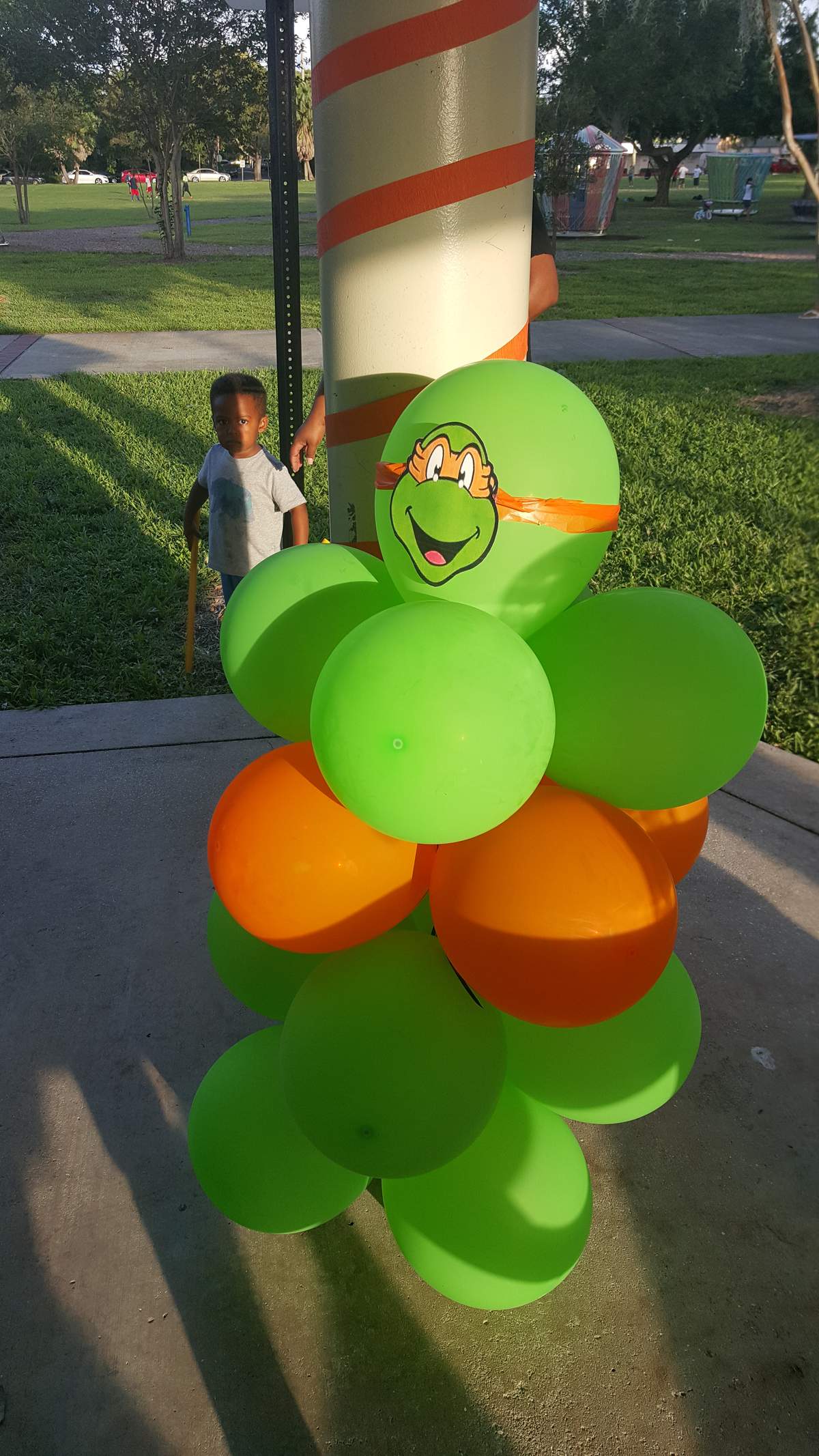 Dylan's 5th Ninja Turtle Party - Teenage Mutant Ninja Turtles