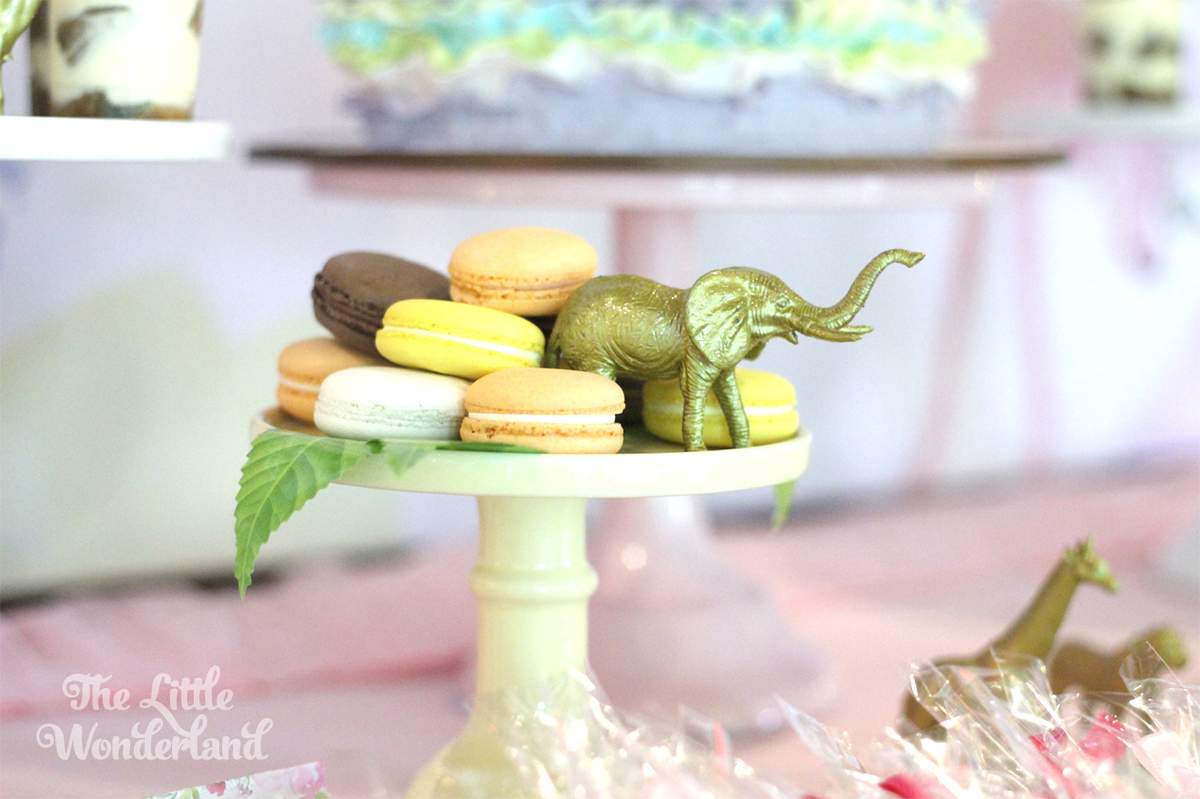 Anaya's Birthday Party - Sweet Safari
