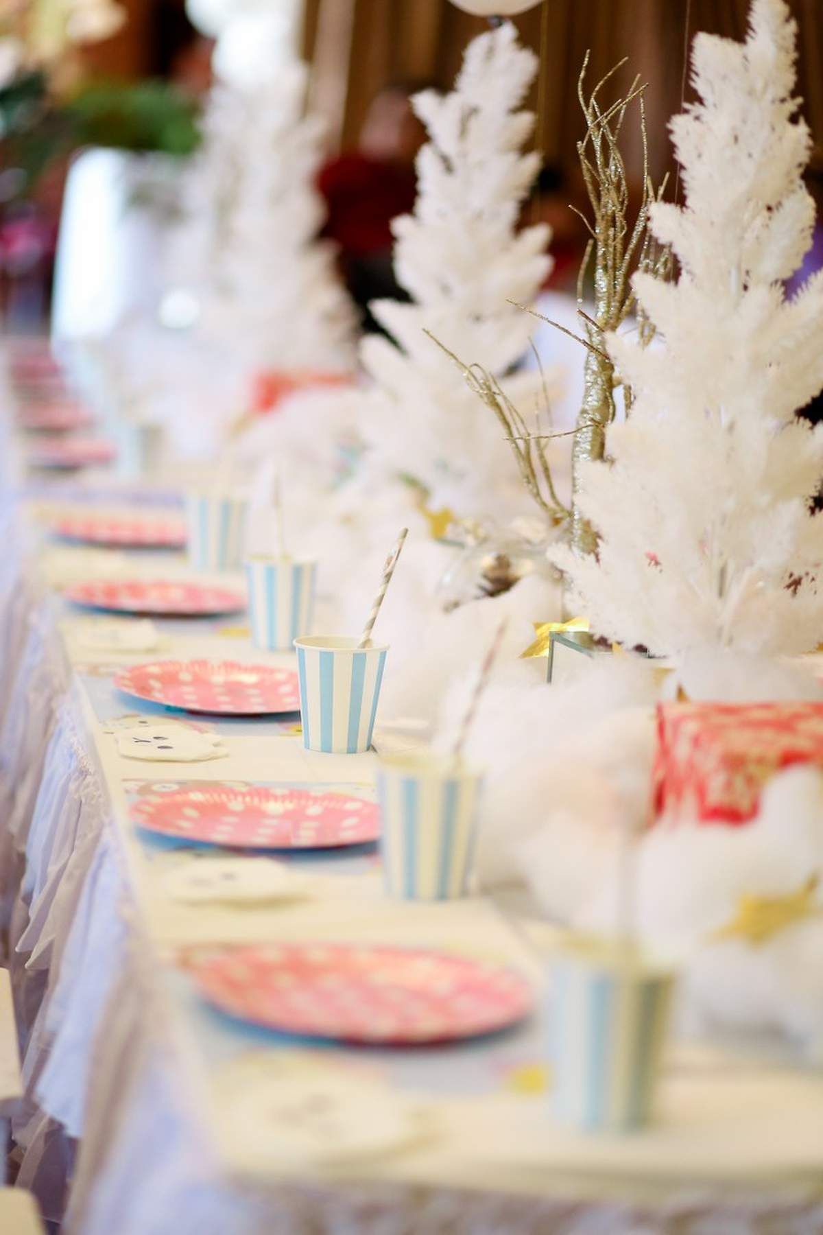 Winter Birthday Party Ideas Photo 1 of 20 Catch My Party