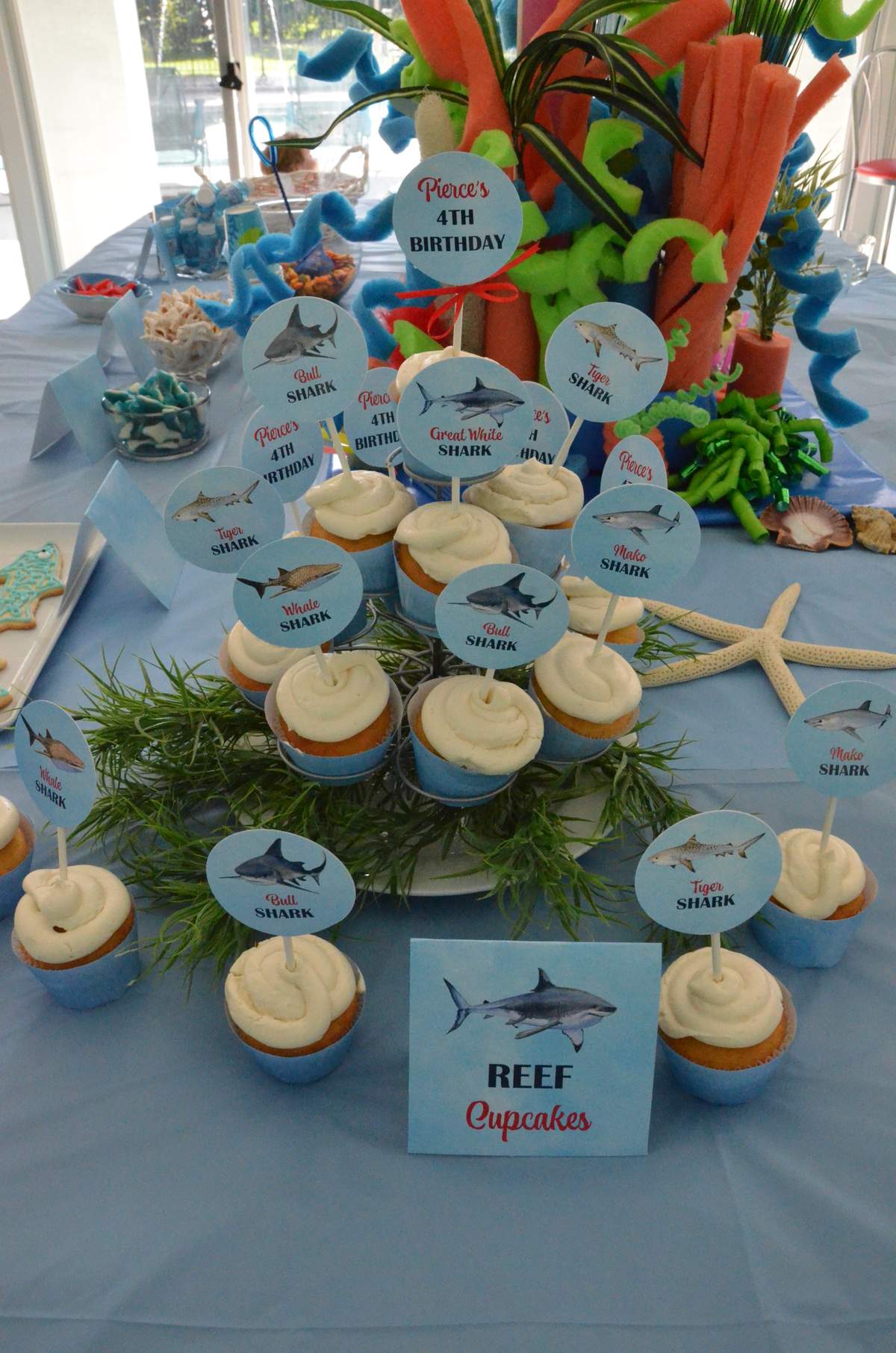 Pierce's Shark Reef Party - Sharks