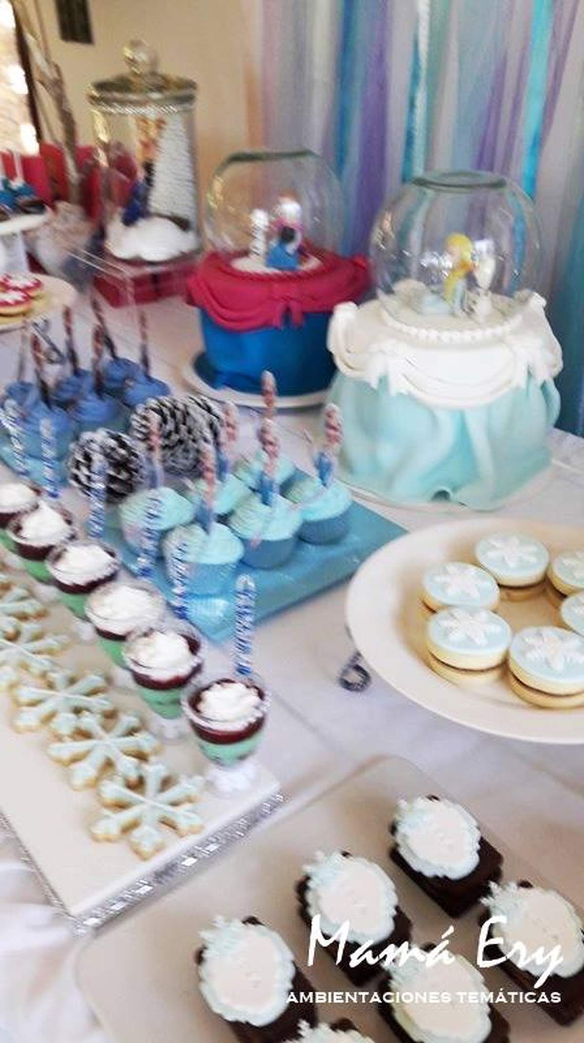 ELSA & ANNA FROZEN PARTY Birthday Party Ideas Photo 5 of 73 Catch