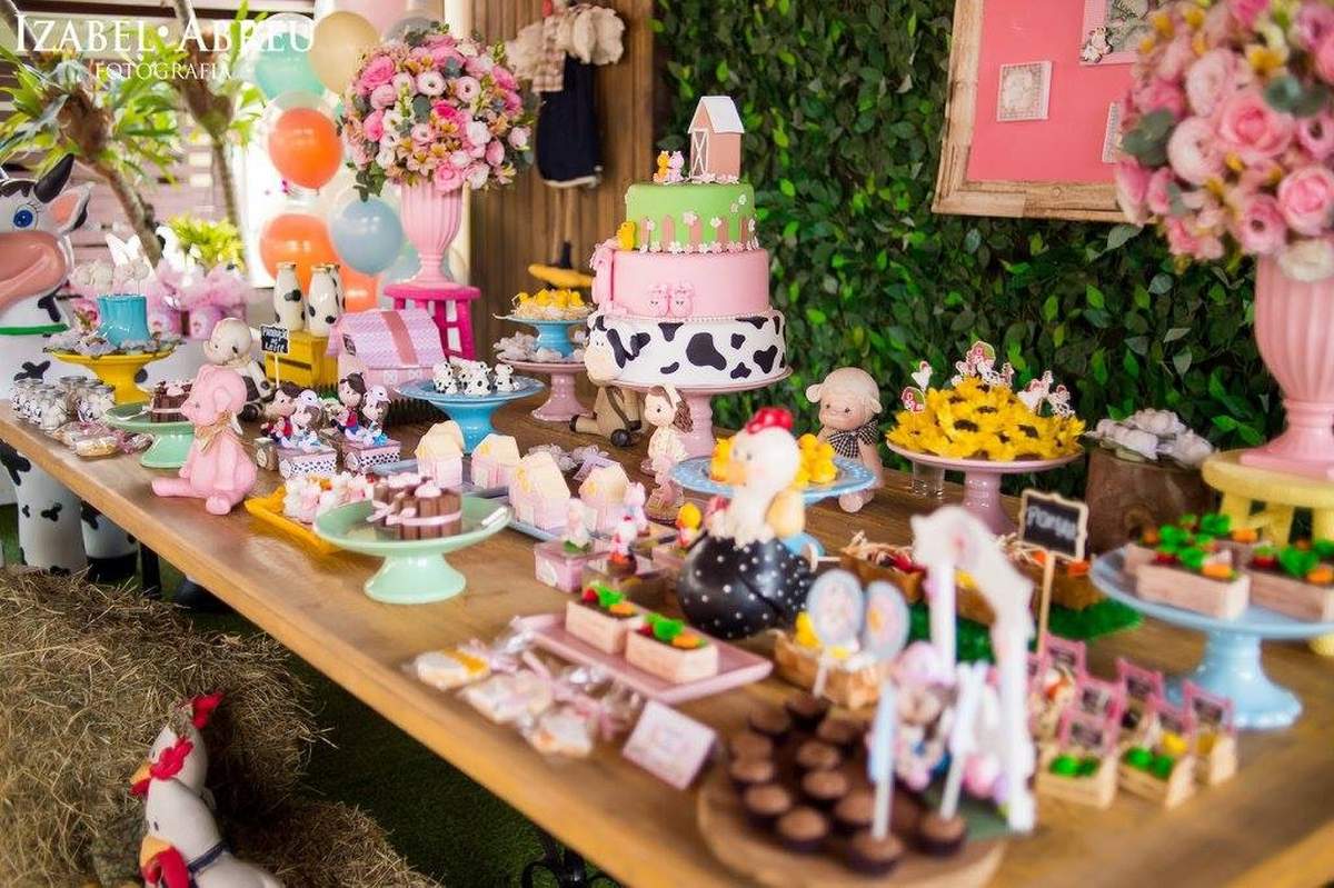 Maria Eduarda's Farm birthday party - Farm