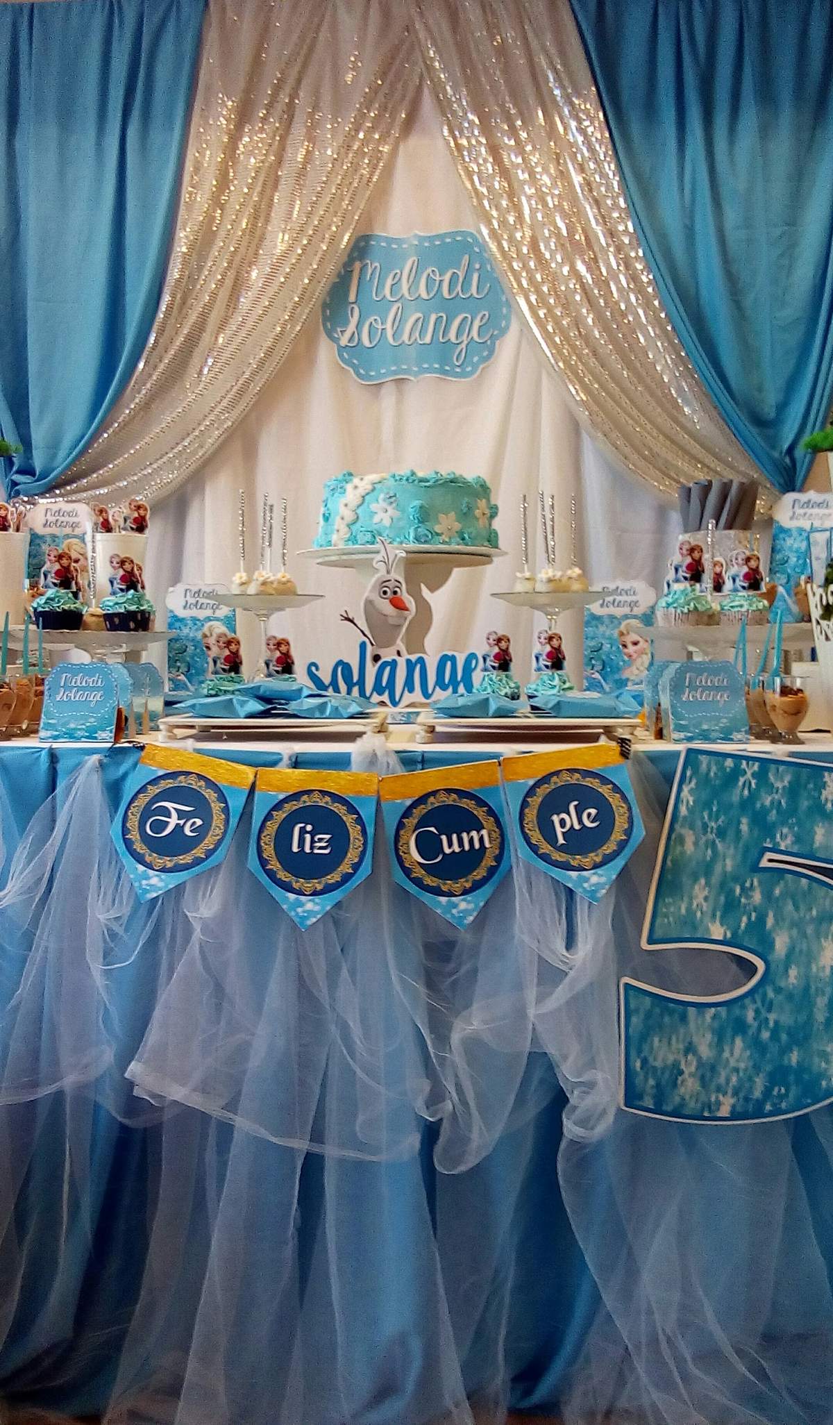 Un cumple congelado para solange - Frozen