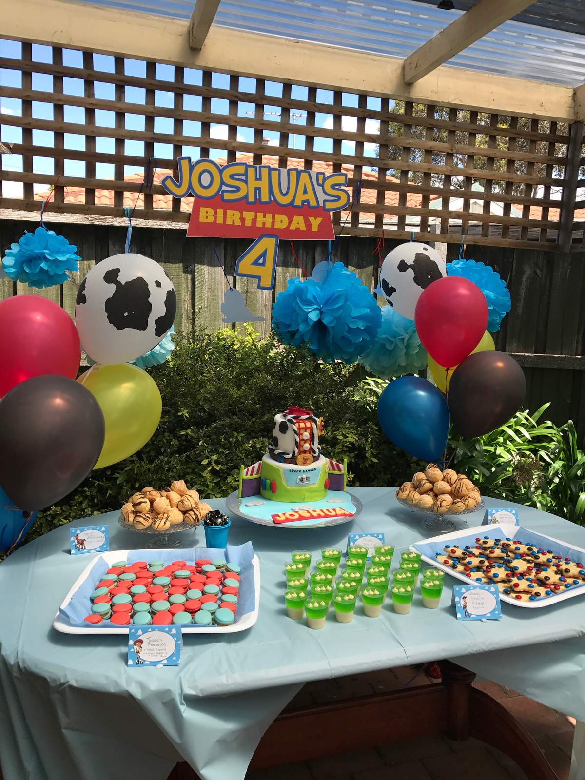 Joshua's Toy Story Birthday - Toy Story
