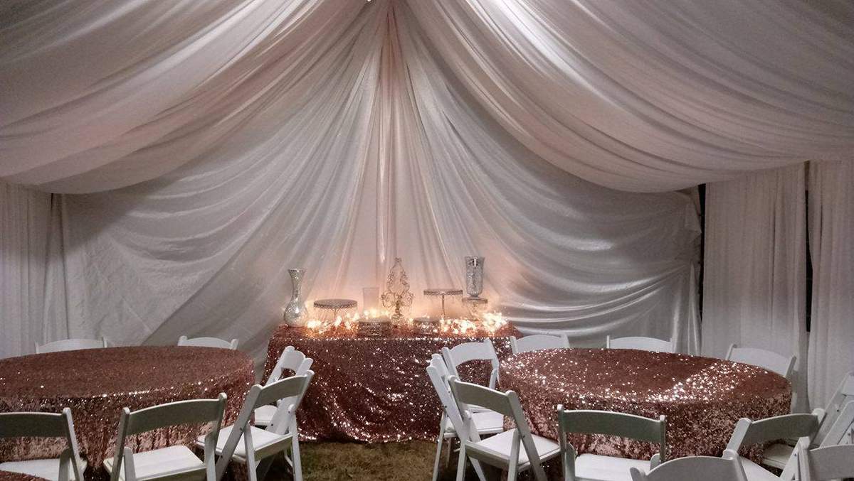 Winter Wonderland, White and Blush - winter wonderland