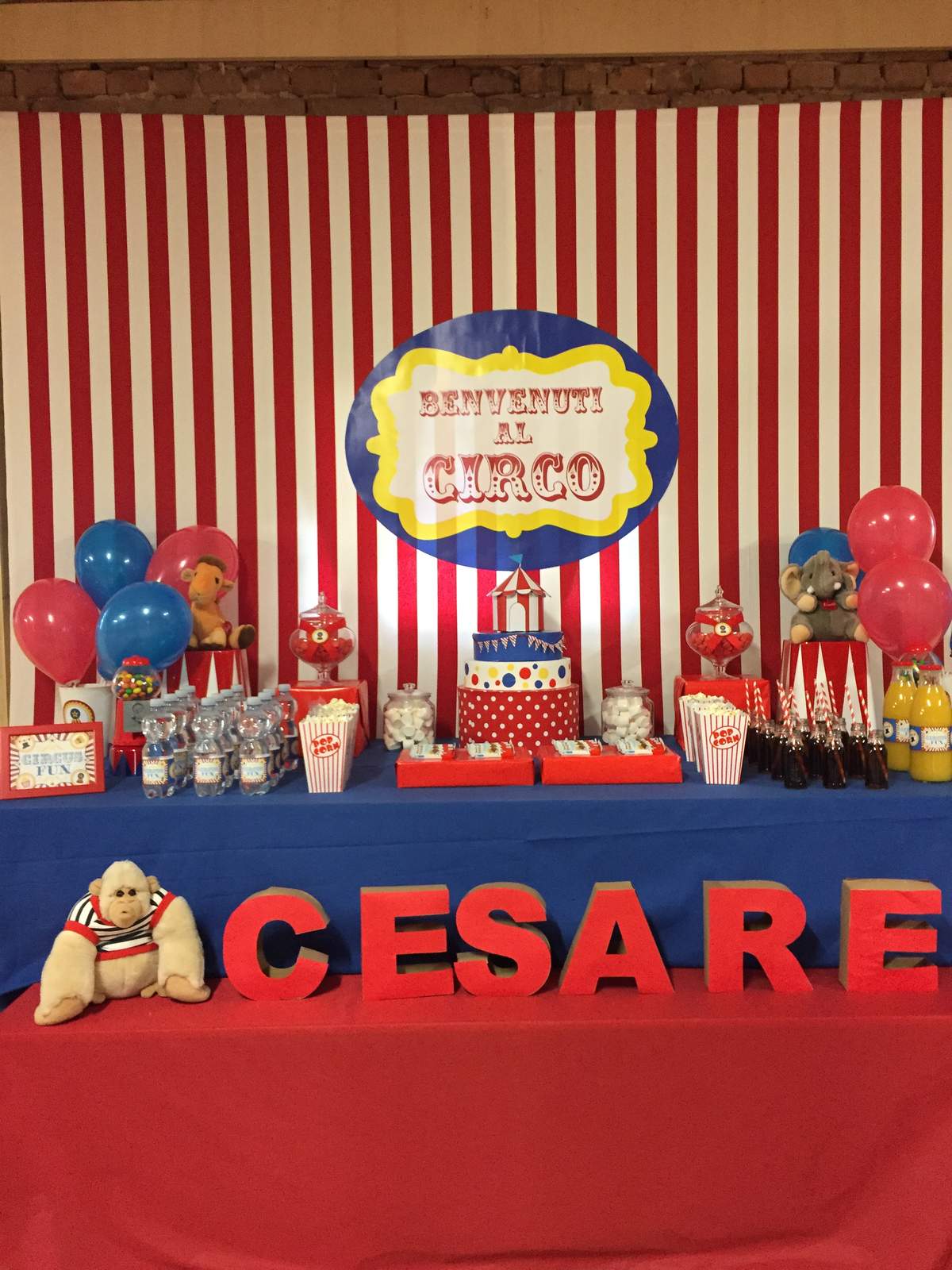 A day at the circus - Circus / Carnival